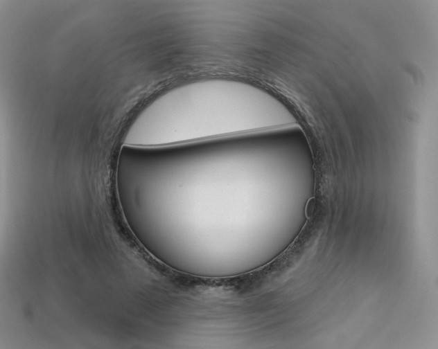 X0000113230689200909100944