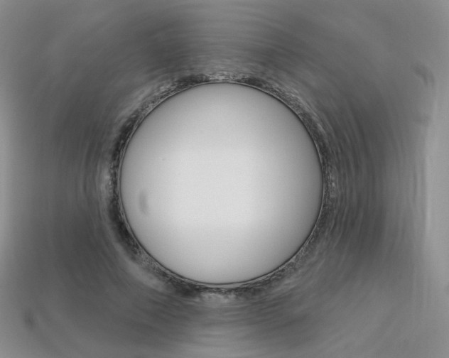 X0000113230690200909100944