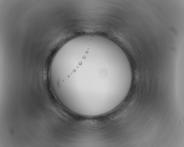 X0000113230691200909100944