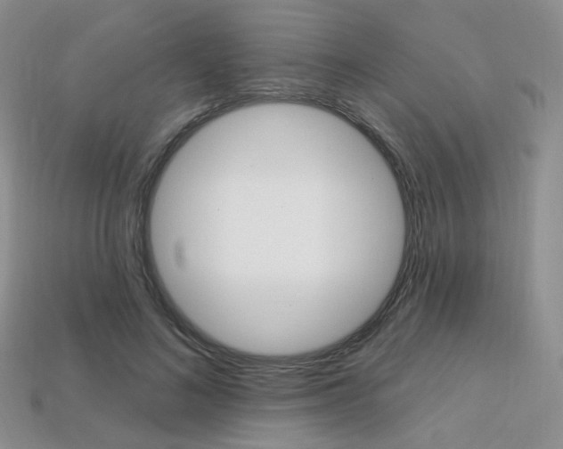 X0000113230692200909100944