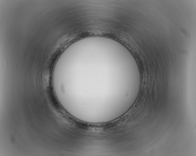 X0000113230694200909100944