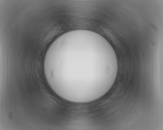 X0000113230696200909100943
