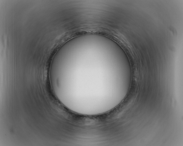 X0000113230697200909100943