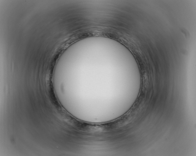 X0000113230698200909100943