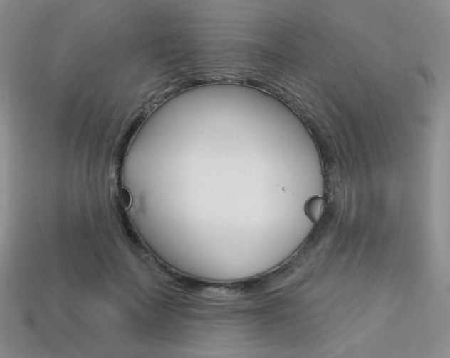 X0000113230699200909100943