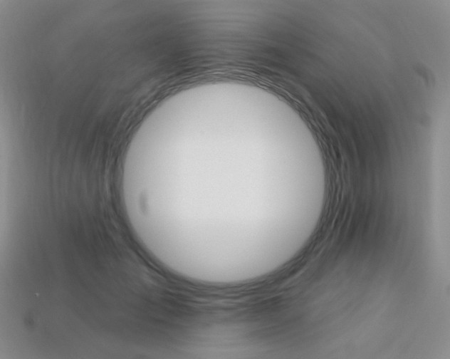 X0000113230701200909100943