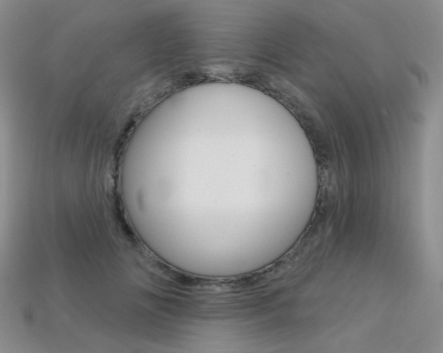 X0000113230702200909100943