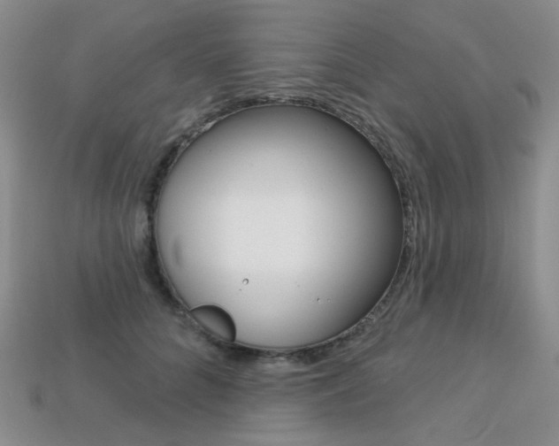 X0000113230704200909100943