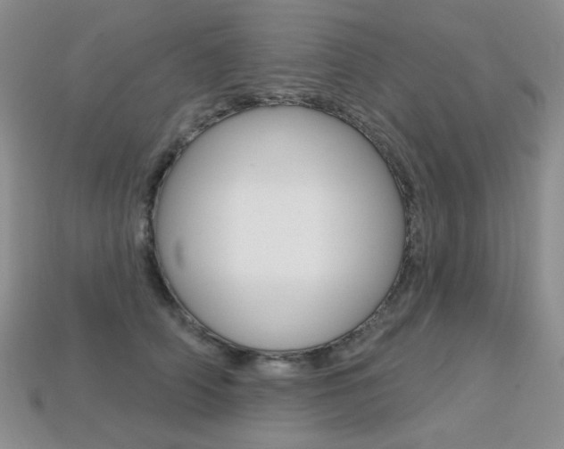 X0000113230706200909100943