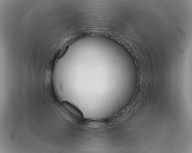 X0000113230708200909100943