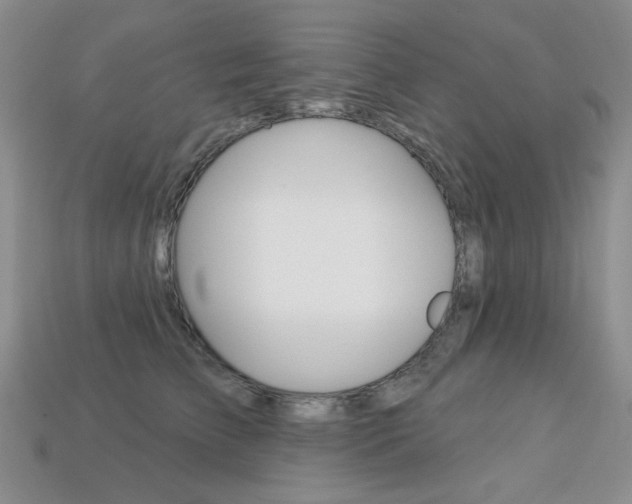 X0000113230709200909100943