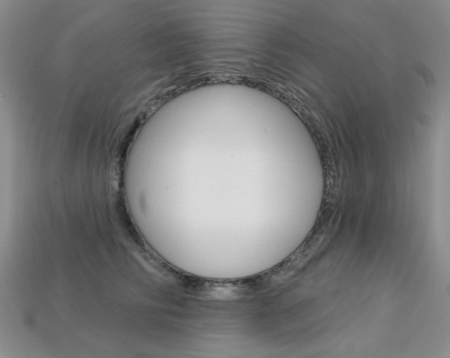 X0000113230710200909100943