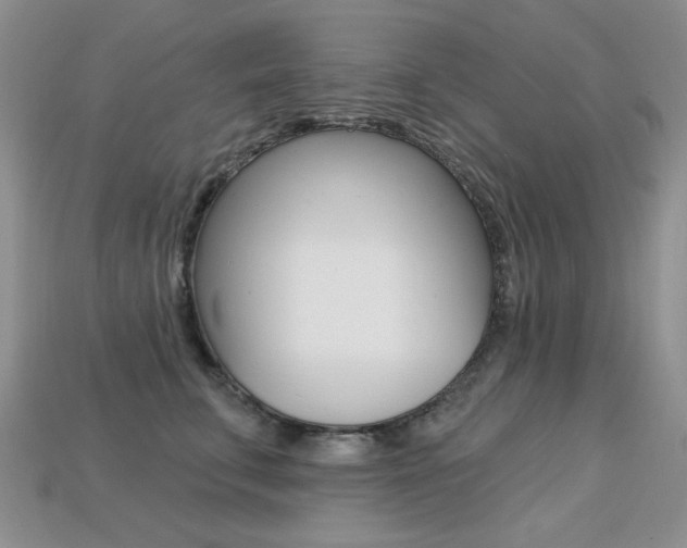 X0000113230711200909100943