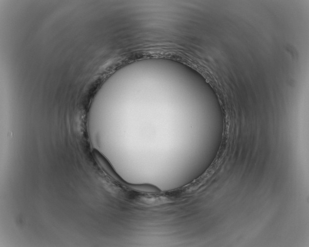 X0000113230712200909100943