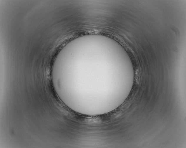 X0000113230714200909100943
