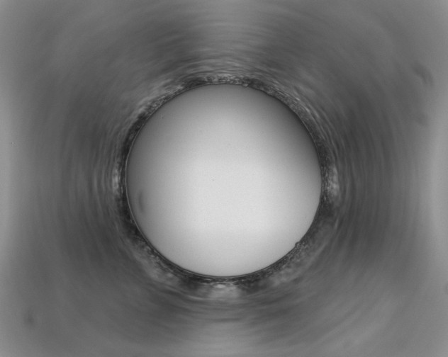 X0000113230715200909100943