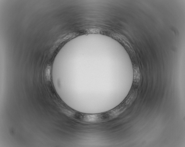 X0000113230717200909100943