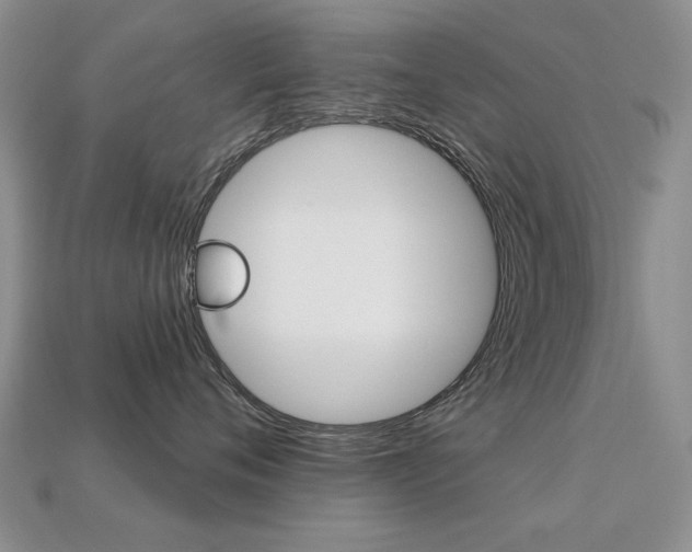 X0000113230720200909100943