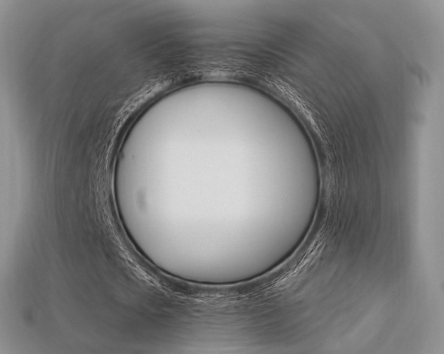 X0000113230721200909100942