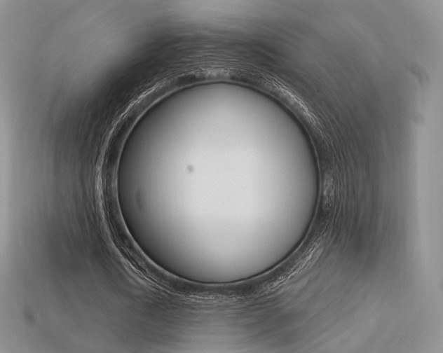 X0000113230722200909100942