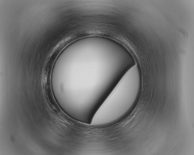 X0000113230723200909100942