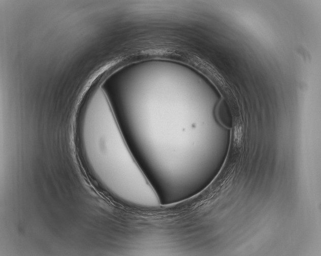 X0000113230724200909100942