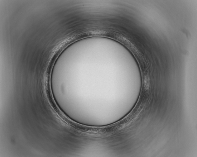 X0000113230725200909100942