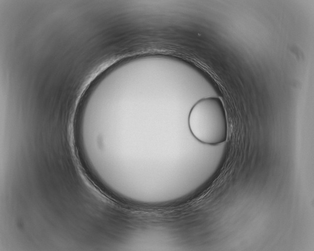 X0000113230726200909100942