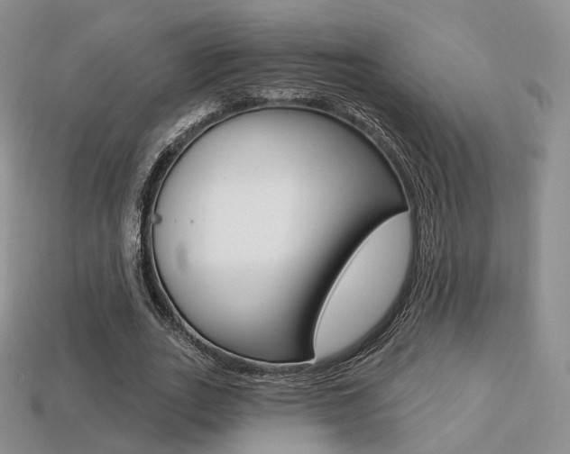 X0000113230727200909100942