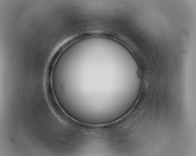 X0000113230728200909100942