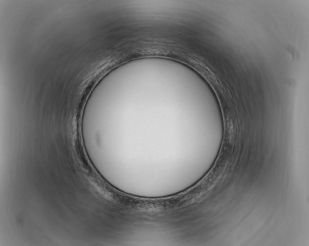 X0000113230729200909100943