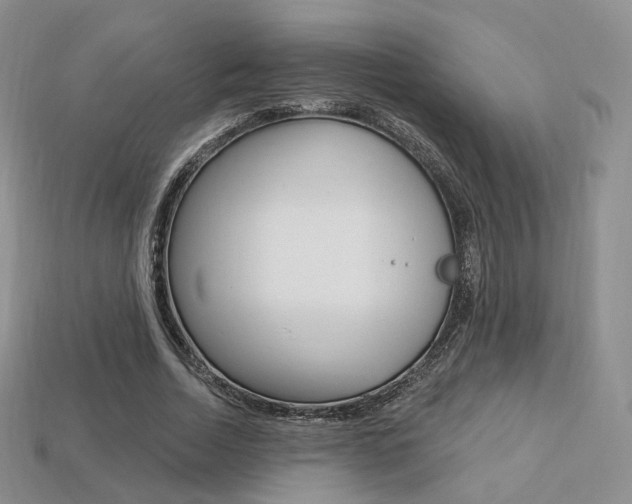 X0000113230730200909100943
