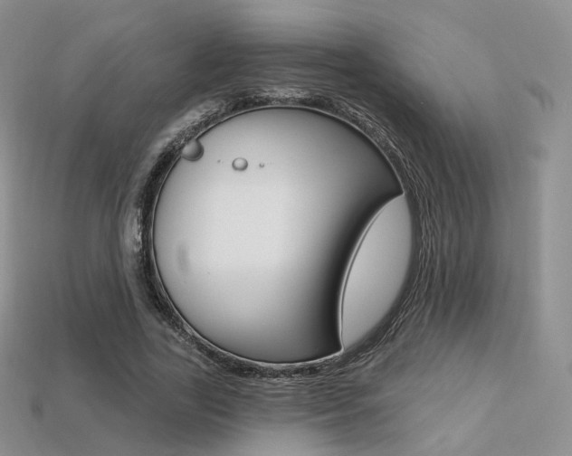 X0000113230731200909100943