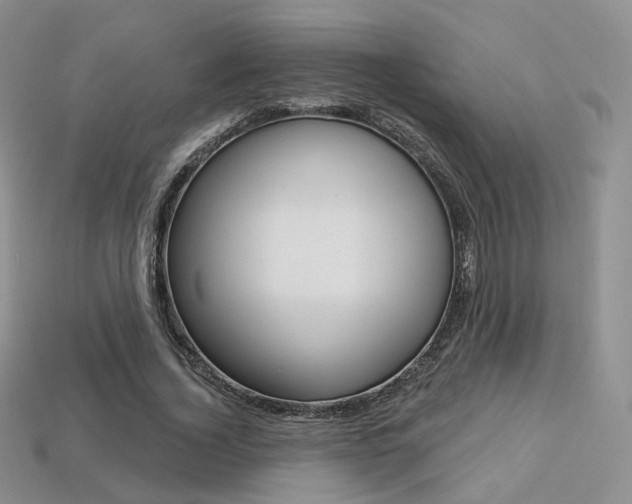 X0000113230732200909100943