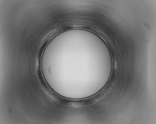 X0000113230733200909100943