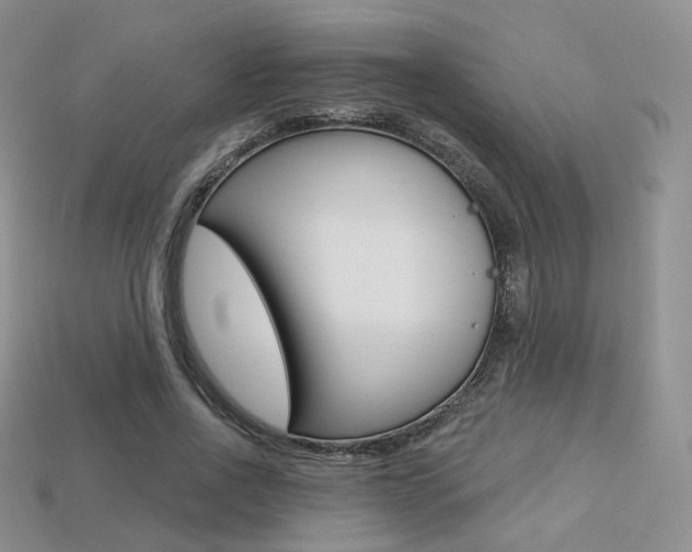 X0000113230734200909100943