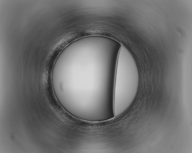 X0000113230735200909100943