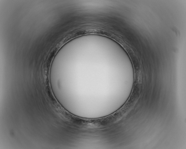 X0000113230737200909100943