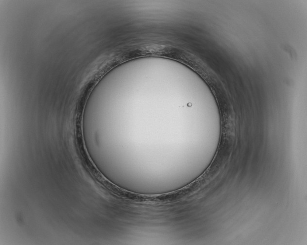 X0000113230738200909100943