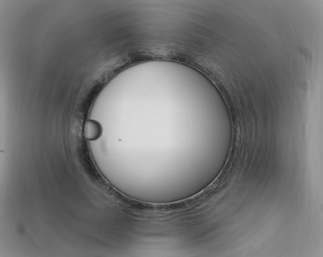 X0000113230739200909100943