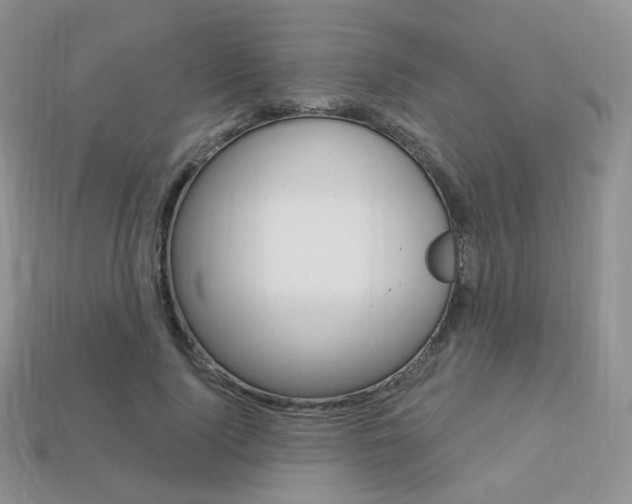 X0000113230740200909100943