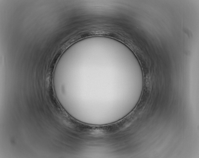 X0000113230741200909100943