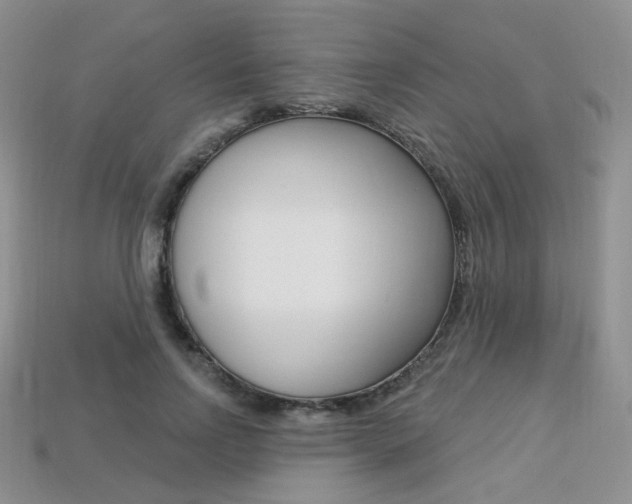 X0000113230742200909100943
