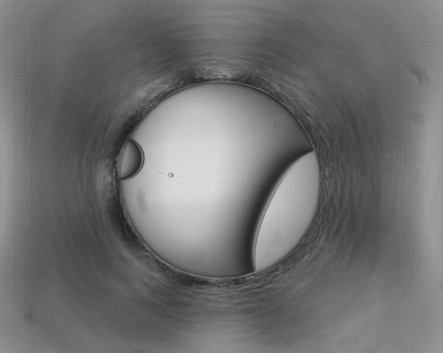X0000113230743200909100943
