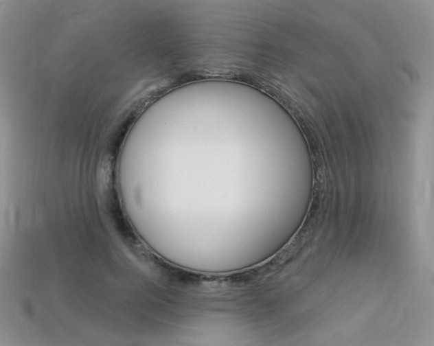X0000113230744200909100943