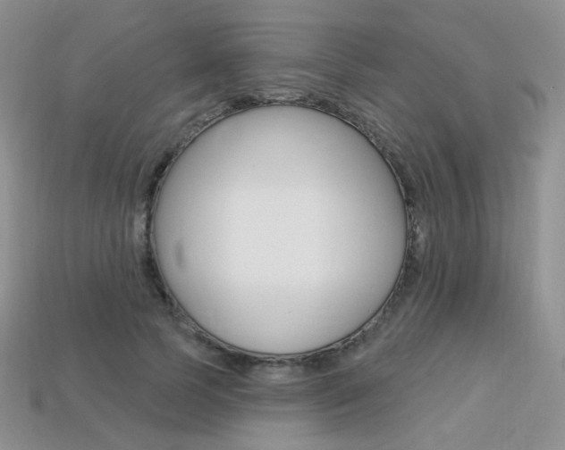 X0000113230745200909100943