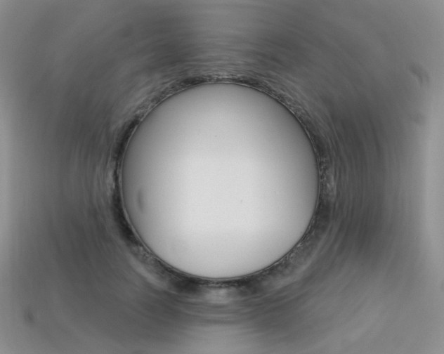 X0000113230746200909100943