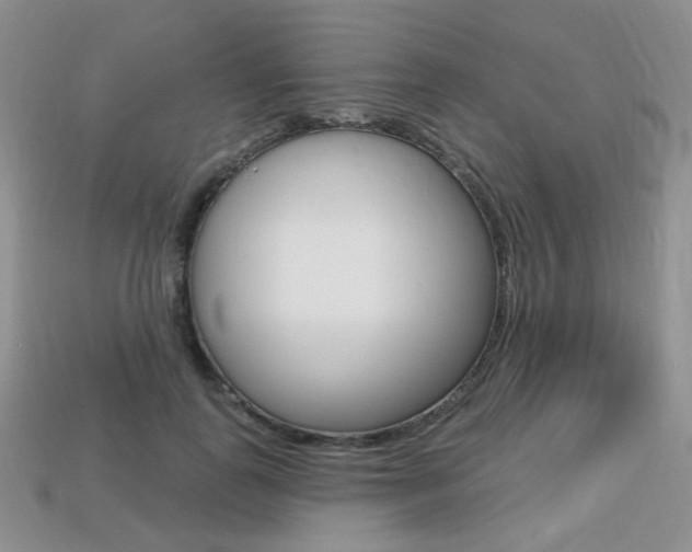 X0000113230747200909100943