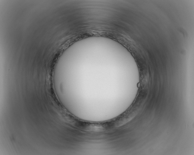 X0000113230749200909100943