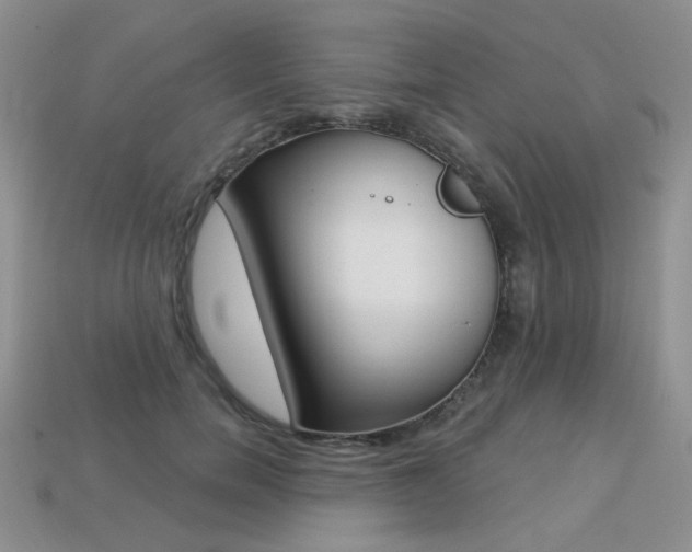 X0000113230750200909100943